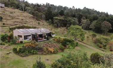 FINCA EN VENTA LA CEJA ANTIOQUIA, SECTOR ALTOS DE EL TAMBO