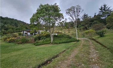 FINCA EN VENTA LA CEJA ANTIOQUIA, SECTOR ALTOS DE EL TAMBO