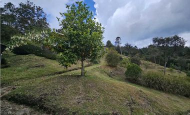 FINCA EN VENTA LA CEJA ANTIOQUIA, SECTOR ALTOS DE EL TAMBO