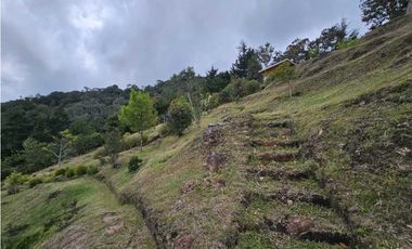 FINCA EN VENTA LA CEJA ANTIOQUIA, SECTOR ALTOS DE EL TAMBO