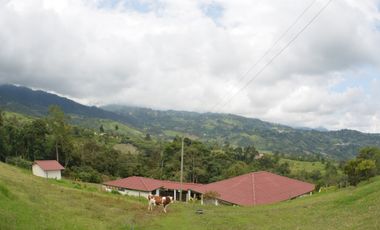 Finca en venta Anolaima Cundinamarca