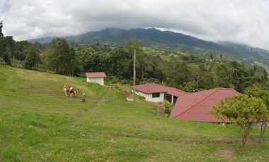 Finca en venta Anolaima Cundinamarca