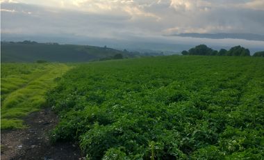 Espectacular Finca en venta En Subachoque