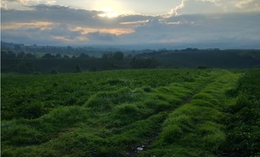 Espectacular Finca en venta En Subachoque