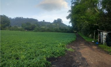 Espectacular Finca en venta En Subachoque