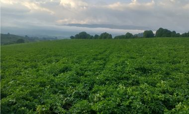 Espectacular Finca en venta En Subachoque