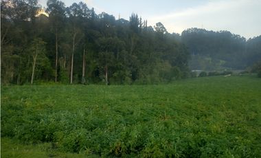 Espectacular Finca en venta En Subachoque