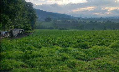 Espectacular Finca en venta En Subachoque