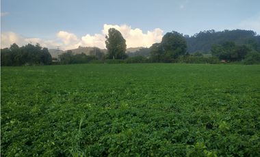 Espectacular Finca en venta En Subachoque