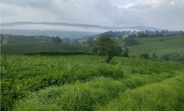 Espectacular Finca en venta En Subachoque