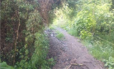 Espectacular Finca en venta En Subachoque