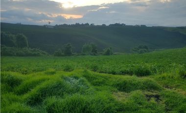 Espectacular Finca en venta En Subachoque