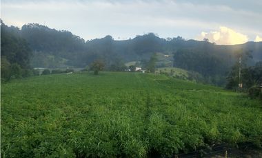 Espectacular Finca en venta En Subachoque