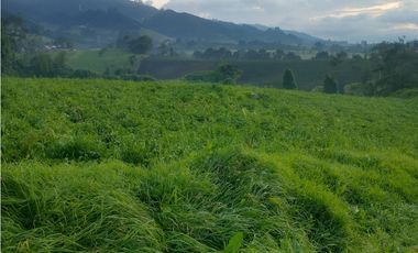 Espectacular Finca en venta En Subachoque