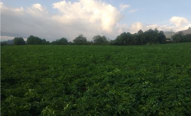 Espectacular Finca en venta En Subachoque