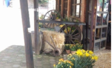 AJUSCO RANCHO EN VENTA TLALPAN CDMX