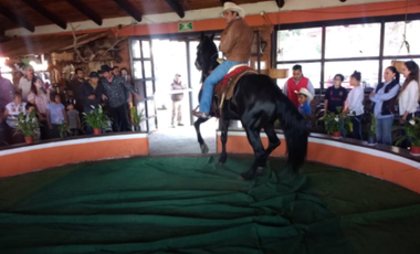 AJUSCO RANCHO EN VENTA TLALPAN CDMX