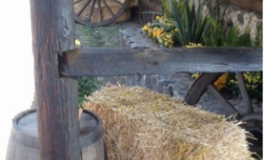 AJUSCO RANCHO EN VENTA TLALPAN CDMX