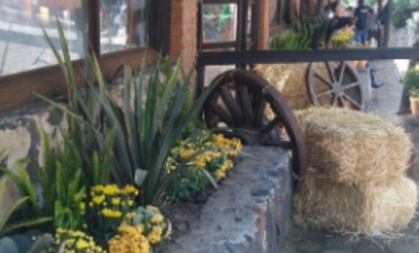 AJUSCO RANCHO EN VENTA TLALPAN CDMX