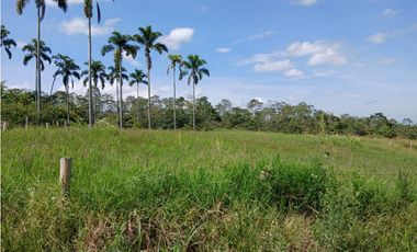 Venta Lotes Mundo Nuevo Risaralda