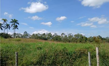 Venta Lotes Mundo Nuevo Risaralda