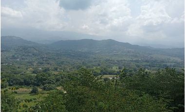 VENDO - ARRIENDO CASA  NUEVA CAMPESTRE SAN ANTONIO DE APULO