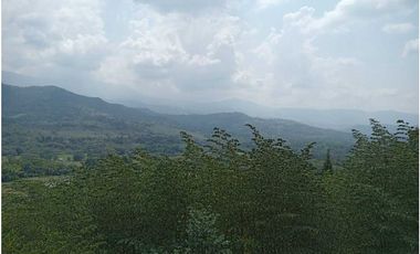 VENDO - ARRIENDO CASA  NUEVA CAMPESTRE SAN ANTONIO DE APULO