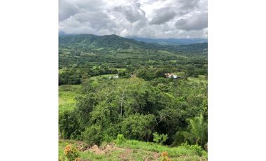 VENDO - ARRIENDO CASA  NUEVA CAMPESTRE SAN ANTONIO DE APULO