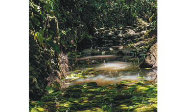 VENTA LOTES CON UNA ESPECTACULAR VISTA CERRITOS PEREIRA