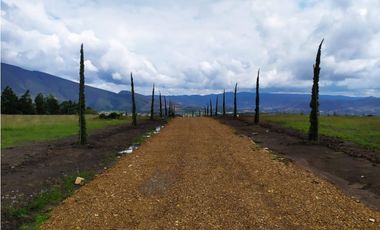 VENDO ULTIMO LOTE CONDOMINIO - ALTO DE LOS MIGUELES - VILLA DE LEYVA