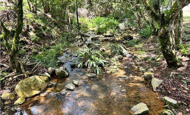 Lotes en condominio en Pueblo Bello Cesar