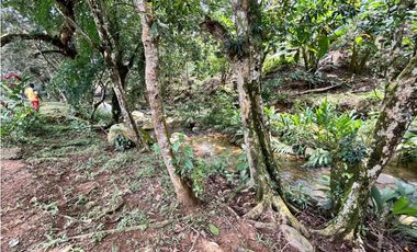 Lotes en condominio en Pueblo Bello Cesar