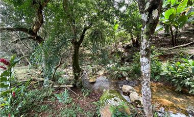 Lotes en condominio en Pueblo Bello Cesar