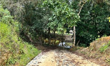 Lotes en condominio en Pueblo Bello Cesar