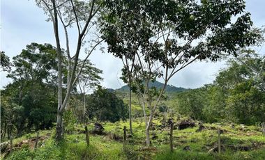 Lotes en condominio en Pueblo Bello Cesar
