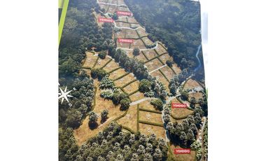 Lotes en condominio en Pueblo Bello Cesar