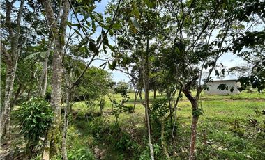 Lotes en condominio en Pueblo Bello Cesar