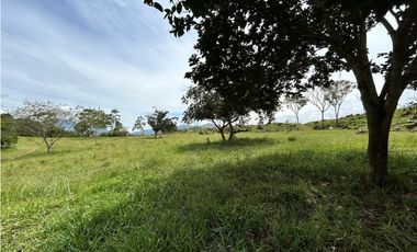 Lotes en condominio en Pueblo Bello Cesar