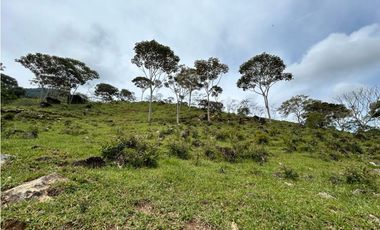 Lotes en condominio en Pueblo Bello Cesar