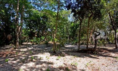 LOTE RESIDENCIAL