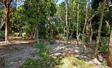 LOTE RESIDENCIAL