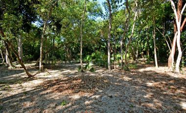 LOTE RESIDENCIAL
