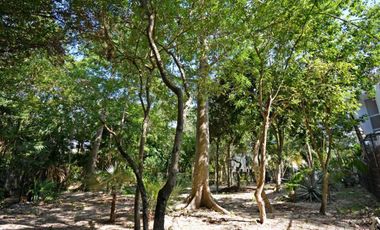 LOTE RESIDENCIAL