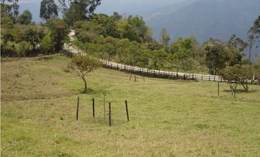 VENDO FINCA GUATEQUE - BOYACA - OPORTUNIDAD