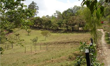 VENDO FINCA GUATEQUE - BOYACA - OPORTUNIDAD