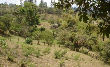 VENDO FINCA GUATEQUE - BOYACA - OPORTUNIDAD