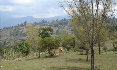 VENDO FINCA GUATEQUE - BOYACA - OPORTUNIDAD