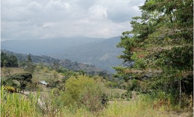 VENDO FINCA GUATEQUE - BOYACA - OPORTUNIDAD