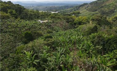 Se vende finca-lote cerca a Buenavista ideal para turismo o vivienda