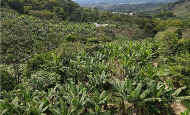 Se vende finca-lote cerca a Buenavista ideal para turismo o vivienda